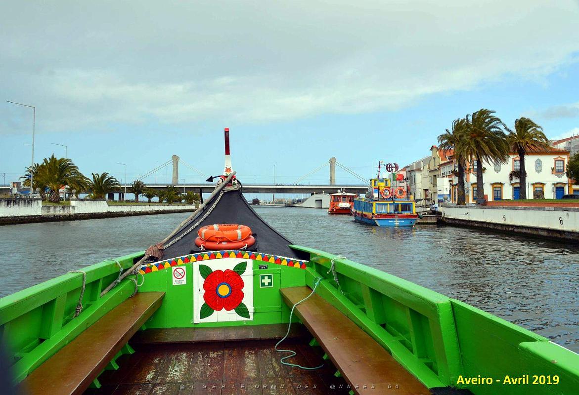 1368 - Aveiro.jpg